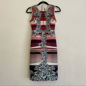 Pink Clover Canyon Dress